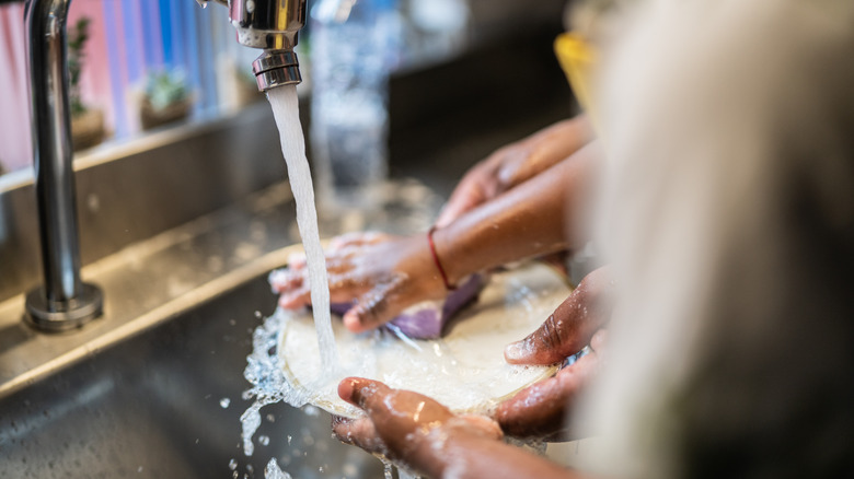hands washing dishes in sink