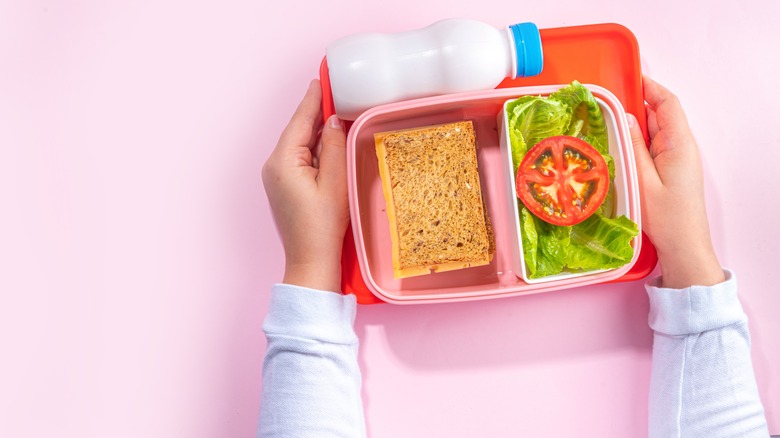 packed bento box for lunch