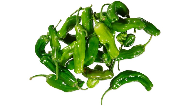 Pile of shishito peppers against white background.