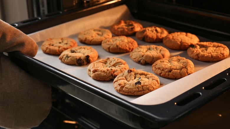 chocolate chip cookie tray in oven