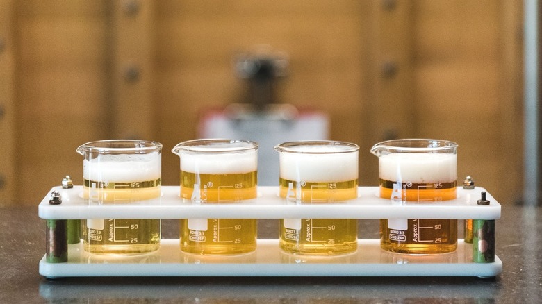 Beer flight at Cerebral Brewing﻿