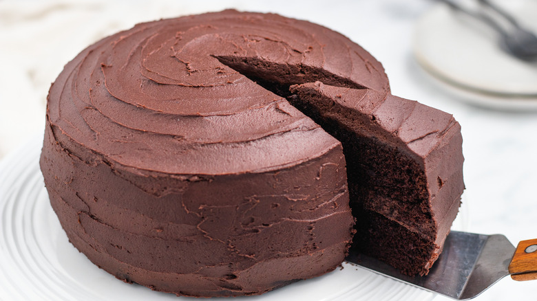 2-layer chocolate cake on plate 