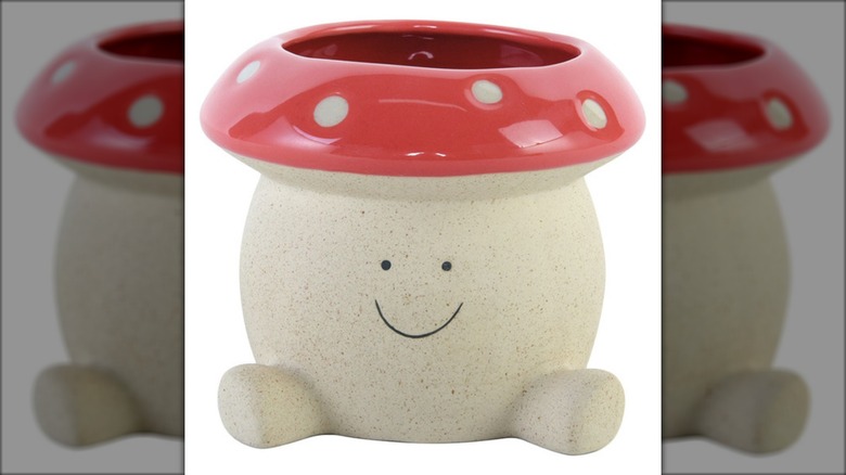 Belavi mushroom planter