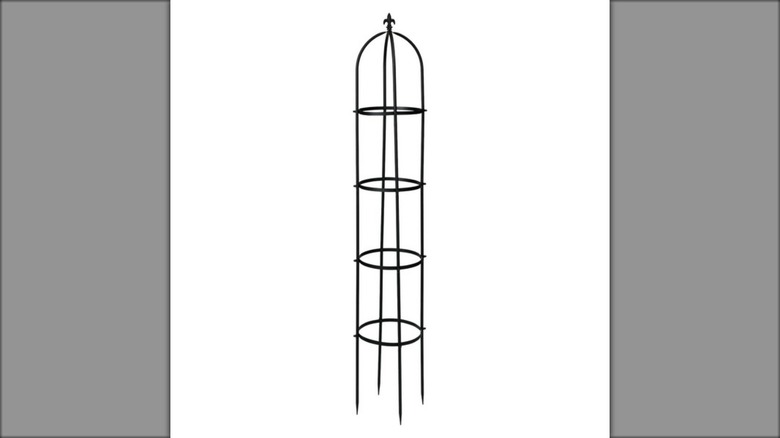 Belavi metal obelisk plant support
