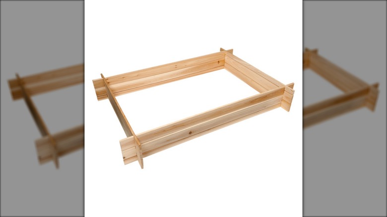 Belavi raised growing planter