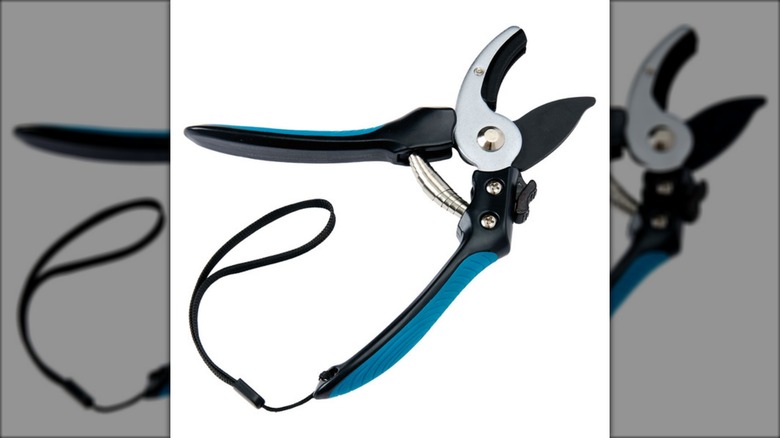 Gardenline anvil pruners with black and blue handle