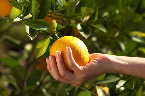 Do It: Eat More Whole Foods