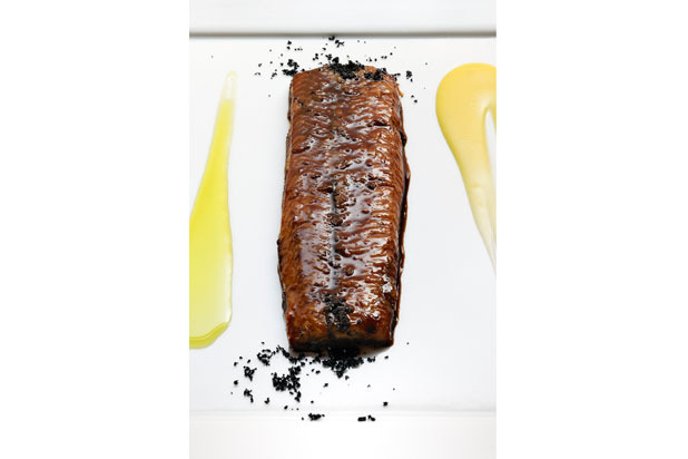 "An Eel Swimming Up the Po River"