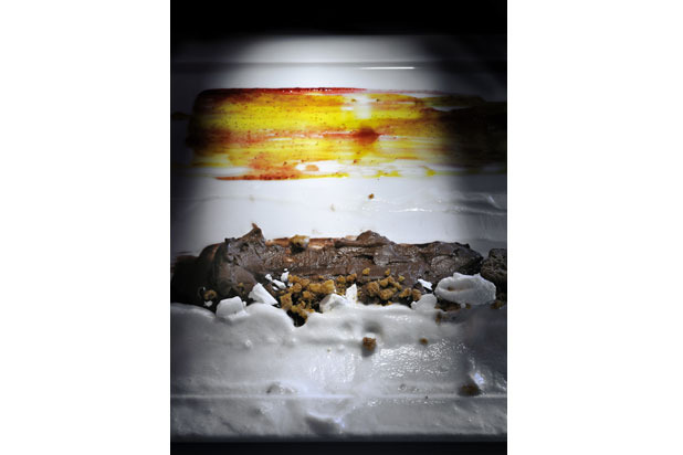 "Trains Depart at Dawn"