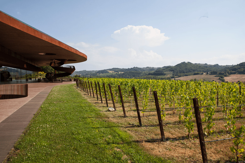 Marchesi Antinori
