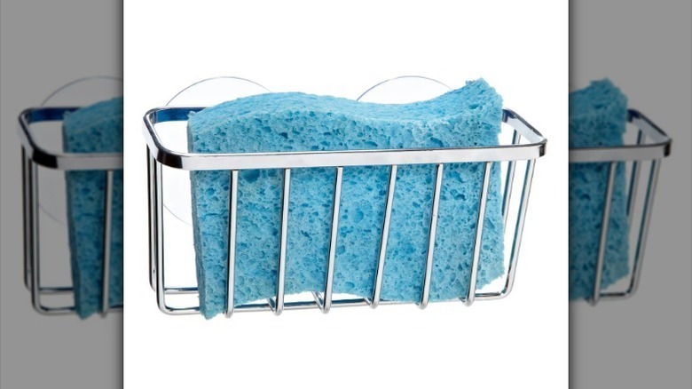 Sponge in metal holder against white background.