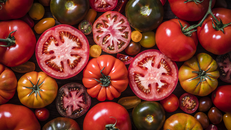various types of tomato