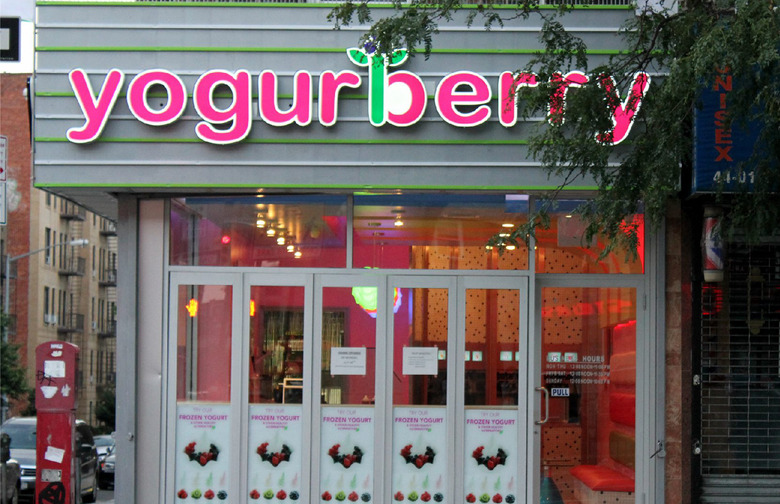 #11 YogurBerry