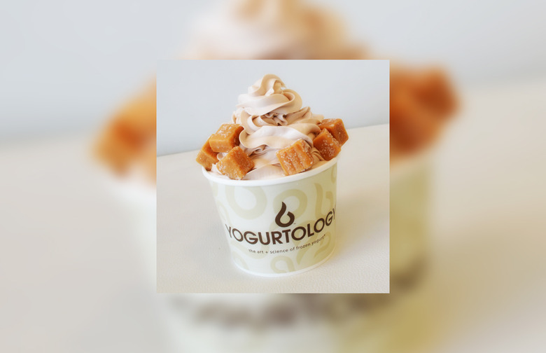 #16 Yogurtology