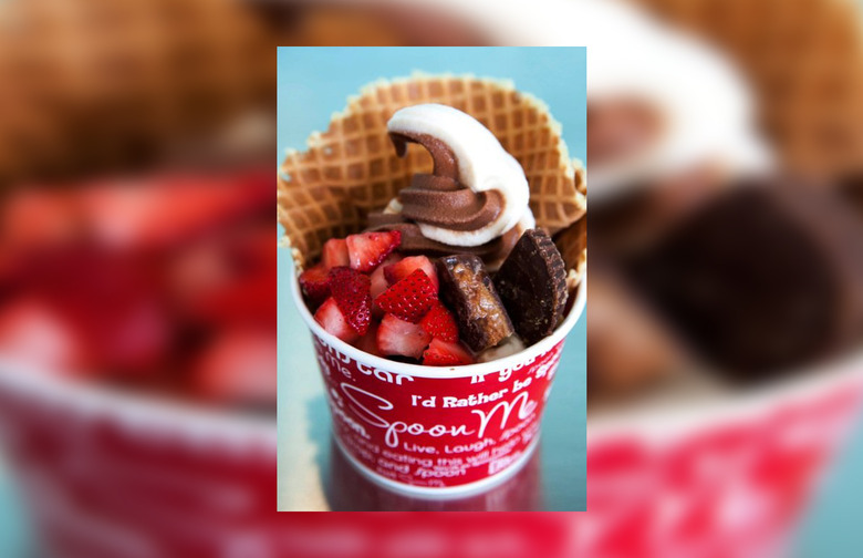 #18 Spoon Me Frozen Yogurt