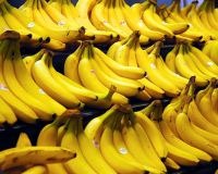 25 Homemade Baby Food Recipes