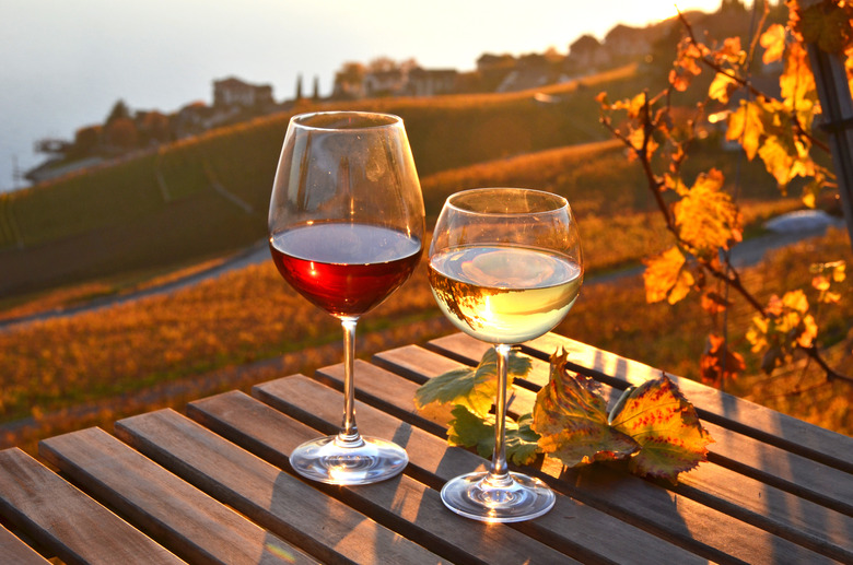 Autumn Wines