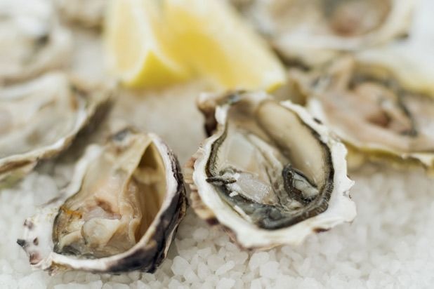 Libido: Raw Oysters
