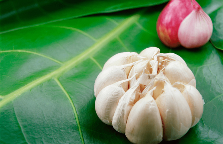 Metabolism: Spices, Garlic, and Vinegar