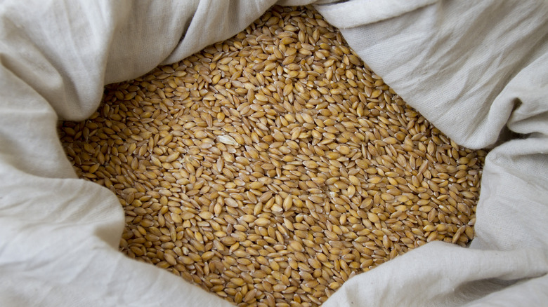 einkorn grain in bag