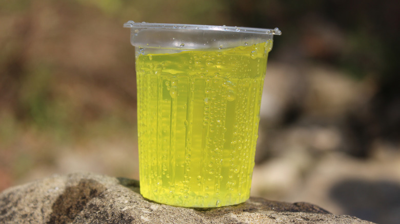 cup of citrus flavored soda