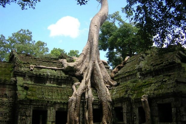 Hostel World (world-wide)