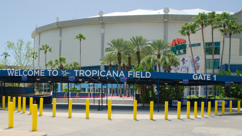 An exterior view of Tropicana Field in St. Petersburg, Florida with palm trees outside and the entrance to Gate 1