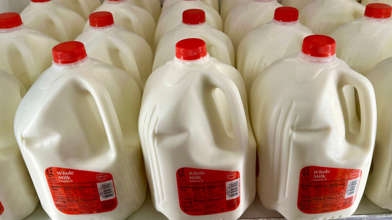 Collection of Target Good & Gather milk gallons