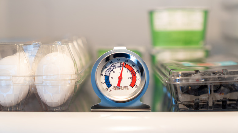 Refrigerator thermometer with eggs and blueberries
