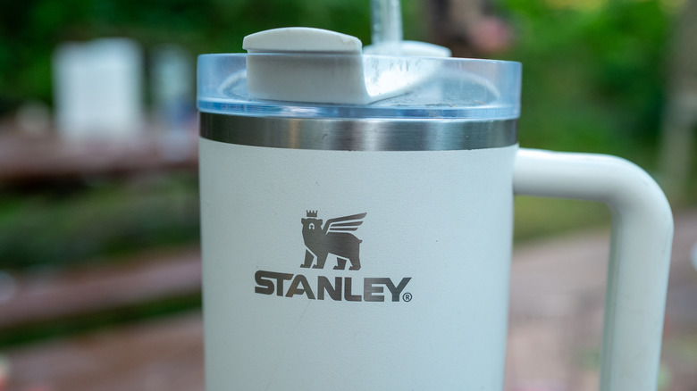 Light green Stanley water bottle with outdoor background