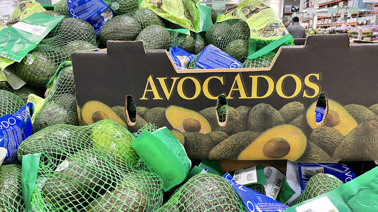 Costco avocados on display in-store, in large net bags