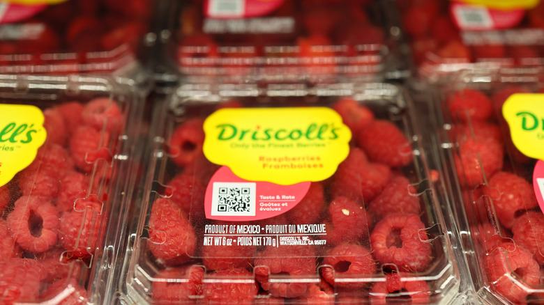 Driscoll's raspberries in display packaging