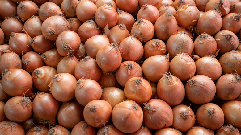 A big pile of onions