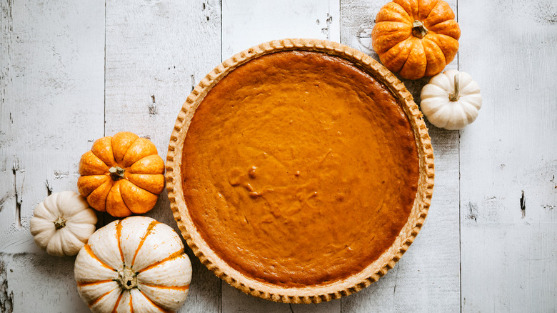 Pumpkins with pumpkin pie
