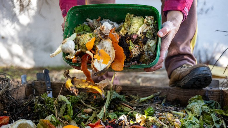 Fruit peels and other kitchen scraps being put into a compost pile