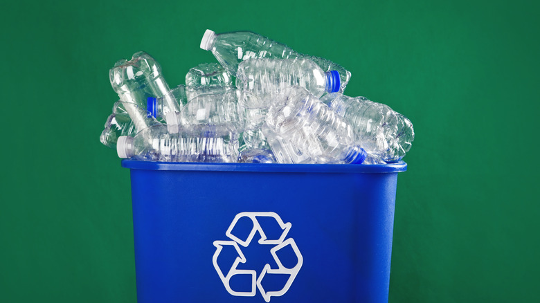 Recycling bin overflowing with plastic bottles