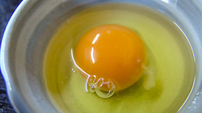 A cracked egg in a bowl with two air bubbles next to the yolk