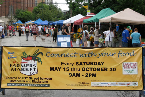 Ride the Wave, the Wholesome Wave