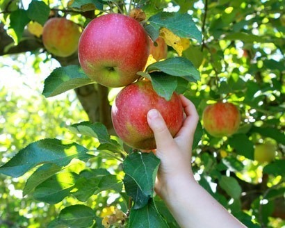 44 Things You Can Do to Help Fight Hunger in America