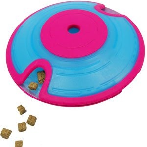 5 Best Food Gifts for Your Cat