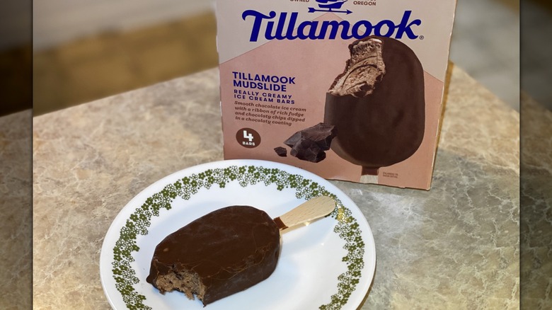 5 Chocolate Ice Cream Bars Worth Every Penny And 2 You Can Skip