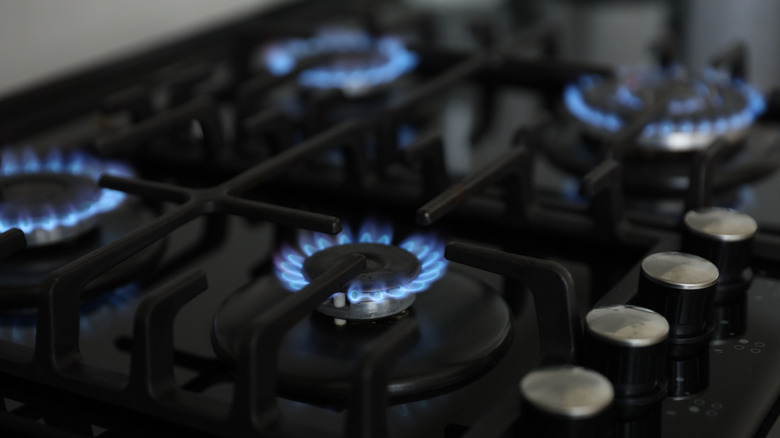 Gas burners turned on with blue flames