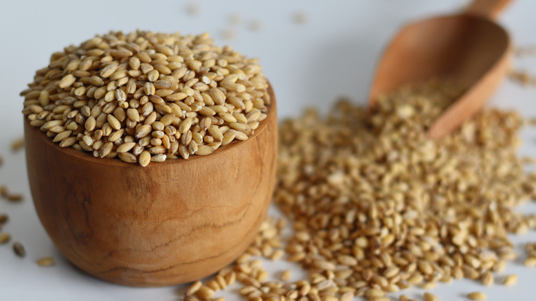 Camera focused on a wooden bowl of hulled barley next to an unfocused wooden scoop and hulled barley
