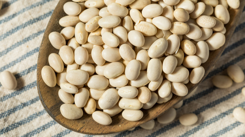 Wooden spoon of uncooked navy beans on a blue pinstriped towel