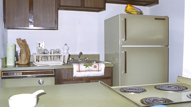 1970s kitchen with avocado green appliances