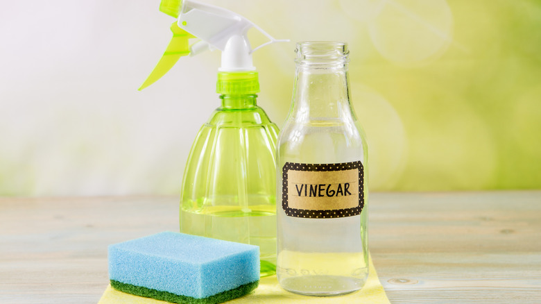 Vinegar, spray bottle, and sponge on a countertop