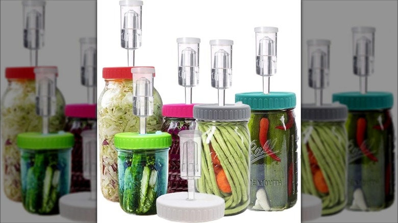 Four canning jars with lids of various colors and airlocks in their tops