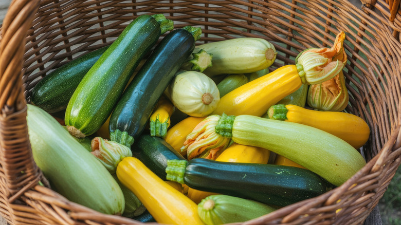 Variety of summer squash in basket