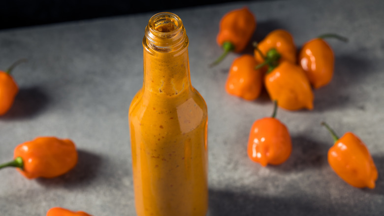 Habanero hot sauce in a bottle with peppers on a gray tabletop nearby