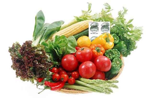 The Sweet Smell of Freshness